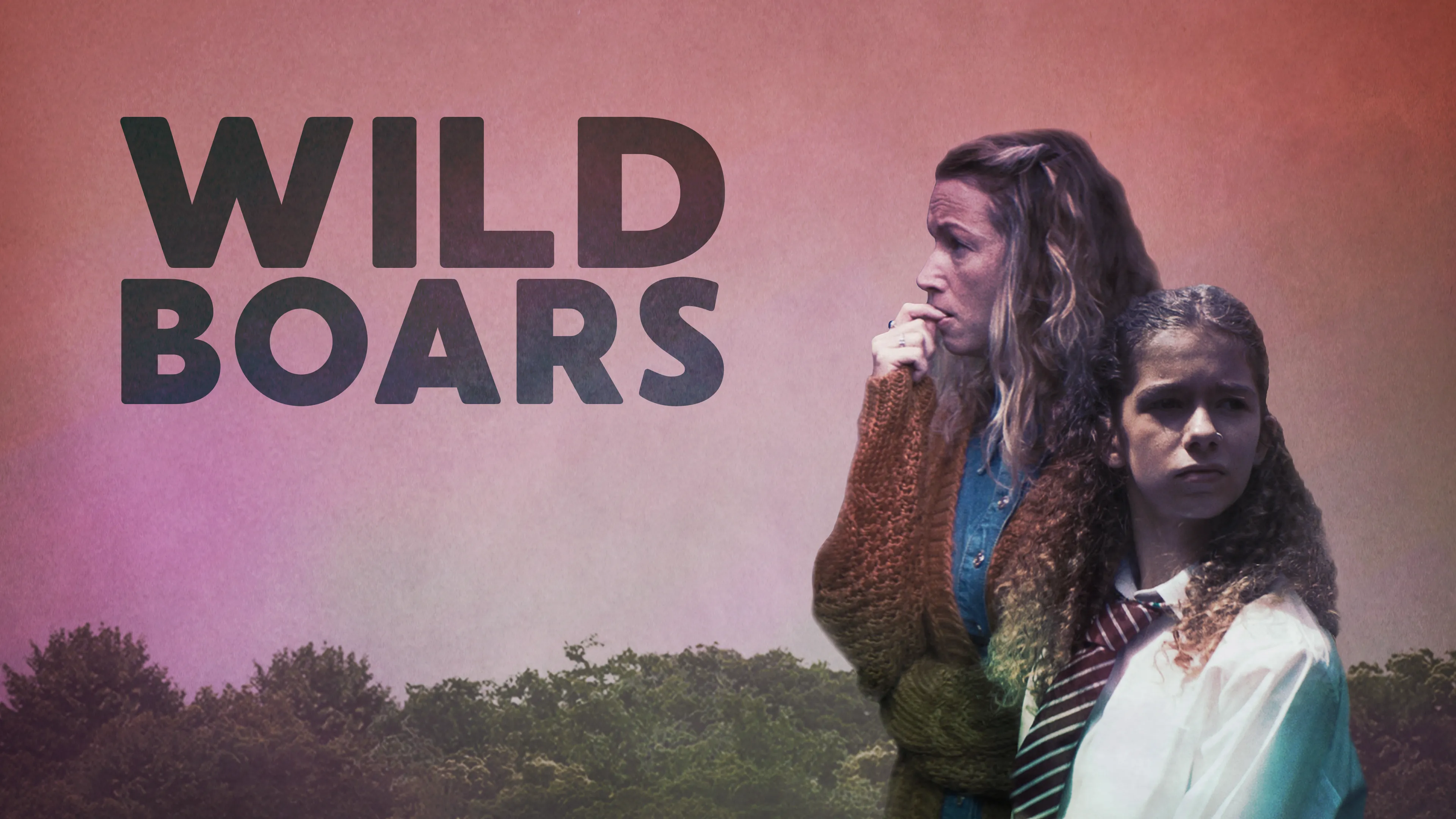 Wild Boars poster